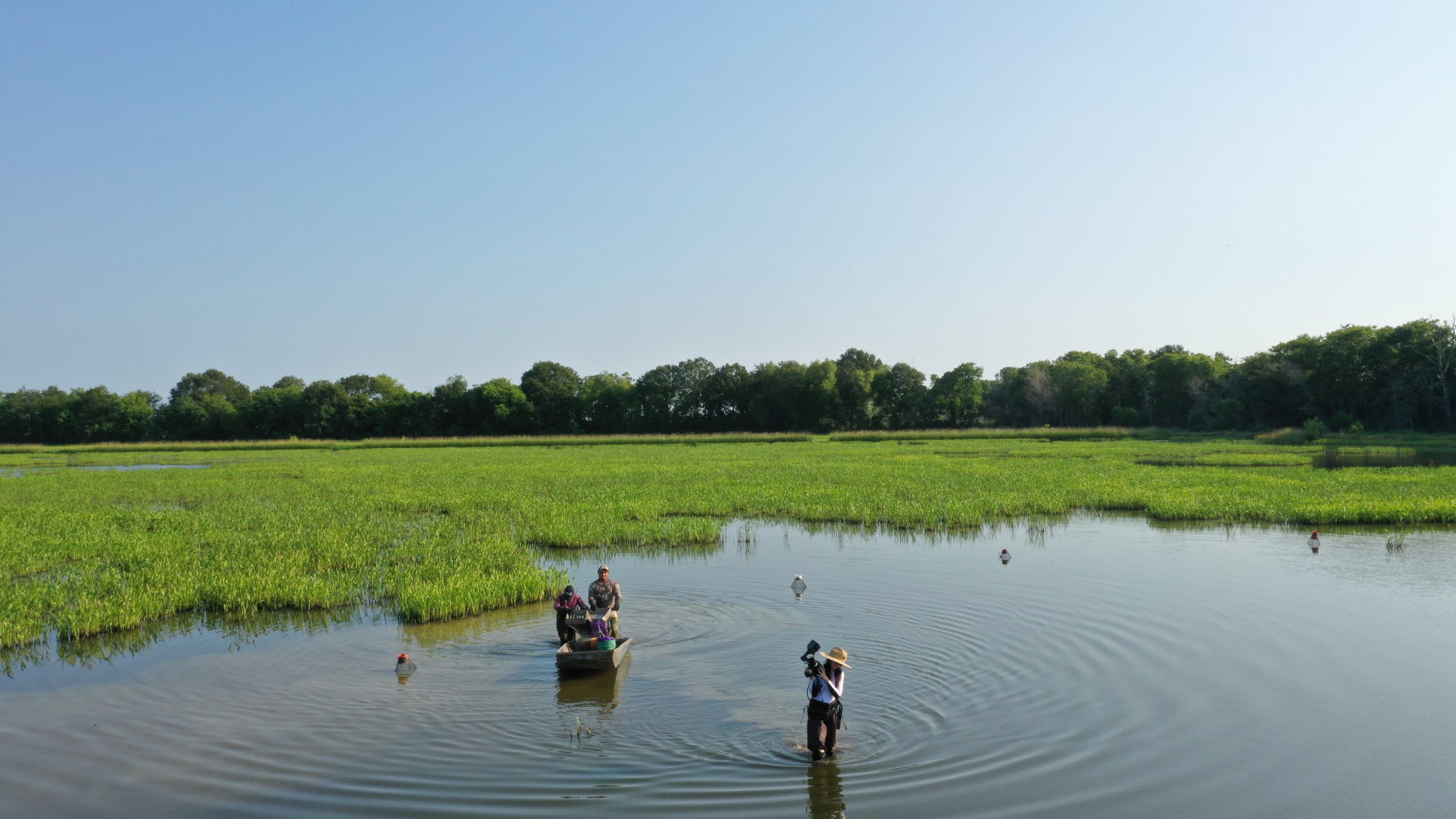 Esther Poveda filming in wetlands